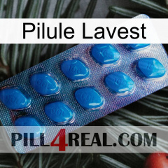 Lavest Pill viagra1